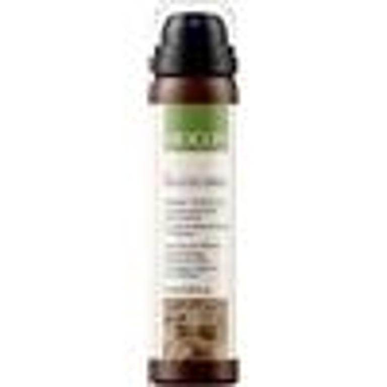BIOCOLORIST SPR RITOCCO BIO CH