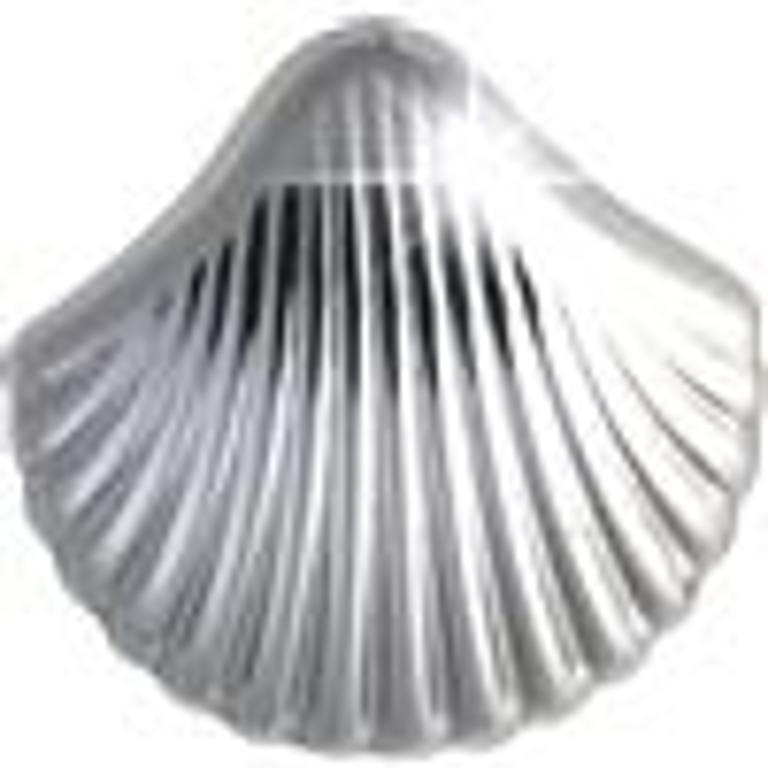 BJT982 ORECCHINI SEA SHELL SS