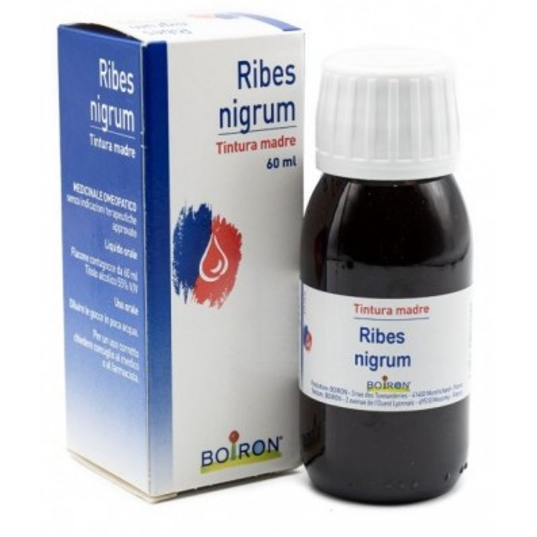 RIBES NIGRUM 60ML TM