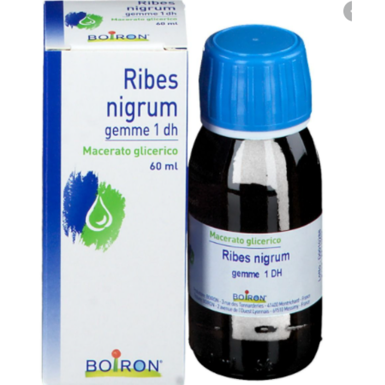 RIBES NIGRUM GEMME 60ML MG