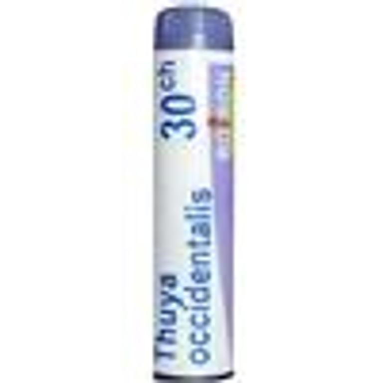 THUYA OCC 30CH GR 4G